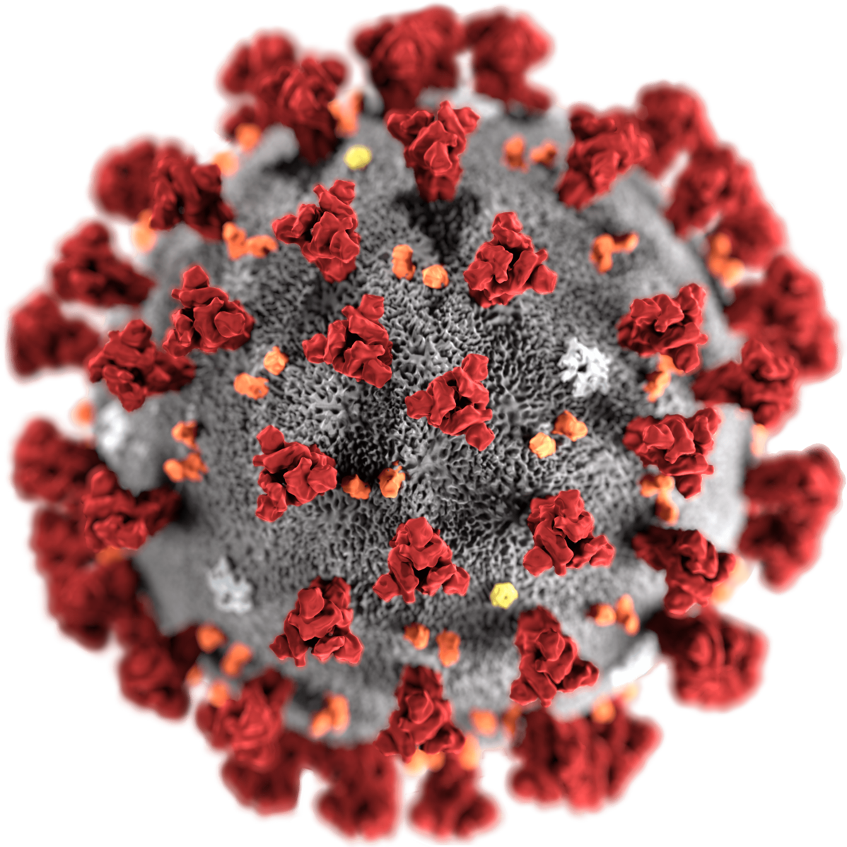 This media comes from the Centers for Disease Control and Prevention's Public Health Image Library (PHIL), with identification number #23312