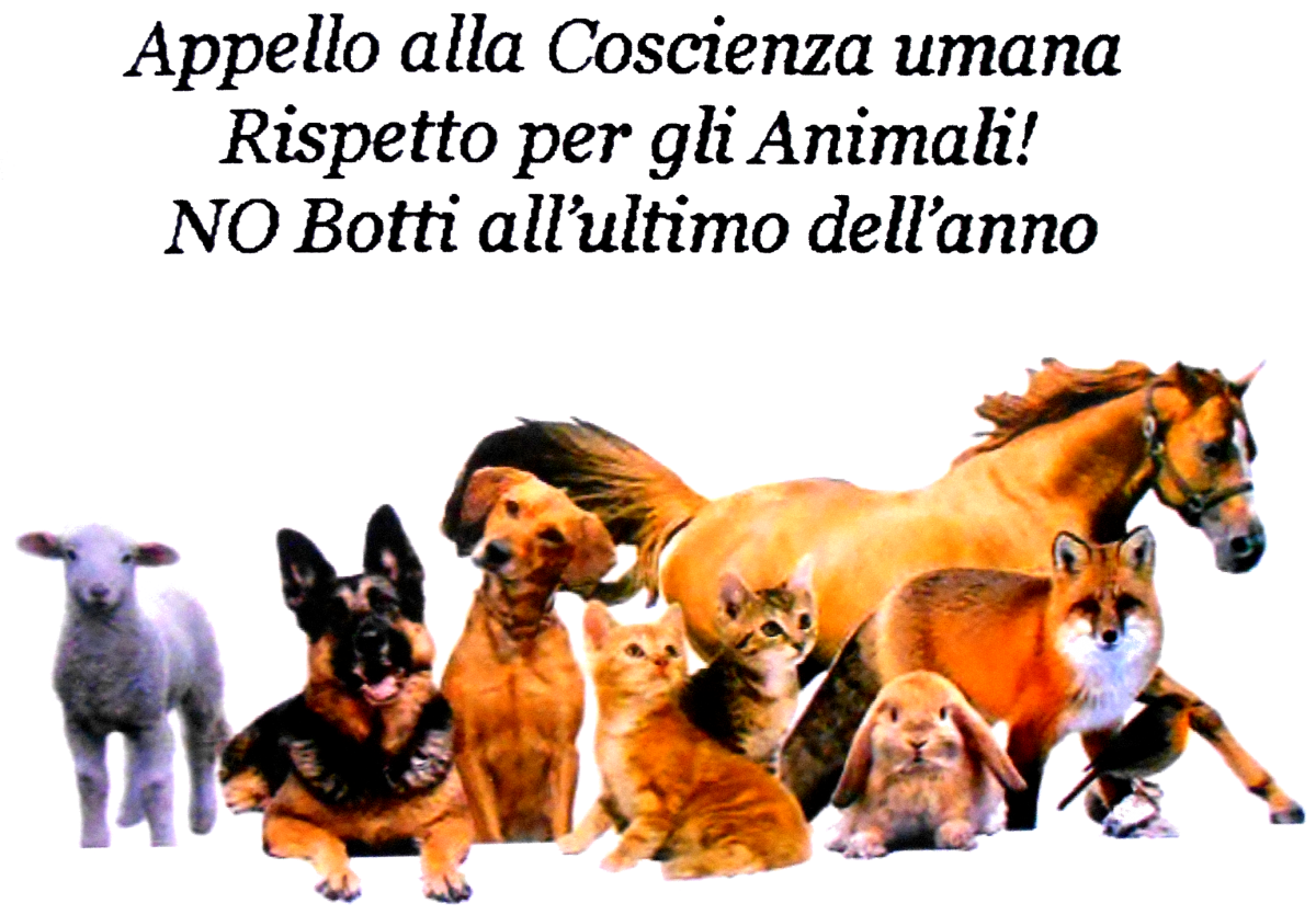 No ai botti di fine anno!