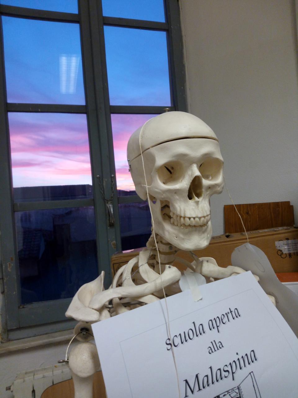 Scuola aperta alla Malaspina