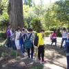 Ascoltando la lezione dell'esperta all'Orto Botanico di Pisa: davanti al ginkgo biloba
