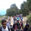 Verso Giglio Castello