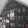 Nevicata