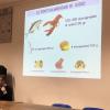 Il dottor Rocchi durante la presentazione